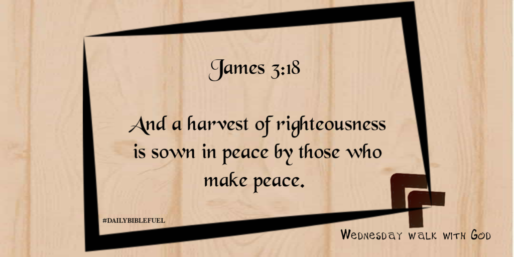 Flyermaker 25052020 211540 1024x512