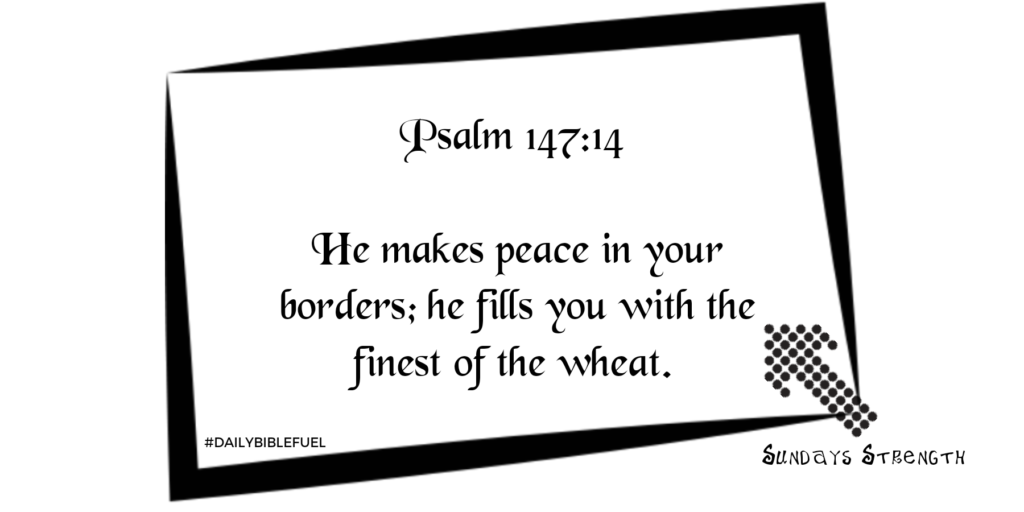 Flyermaker 25052020 212247 1024x512