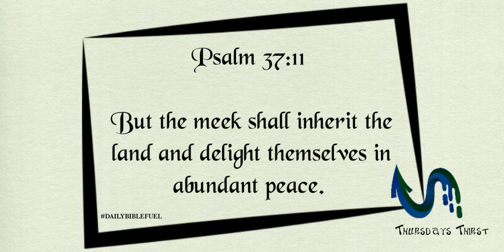 Flyermaker 25052020 212909 1024x512