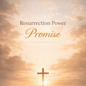 chatgpt image apr 13, 2026, 05 41 00 pm